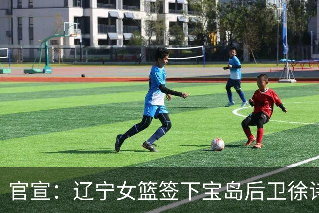 官宣：辽宁女篮签下宝岛后卫徐诗涵 补强后场阵容