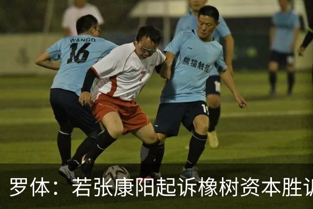 罗体：若张康阳起诉橡树资本胜诉，最高索赔金额可达4.5亿欧